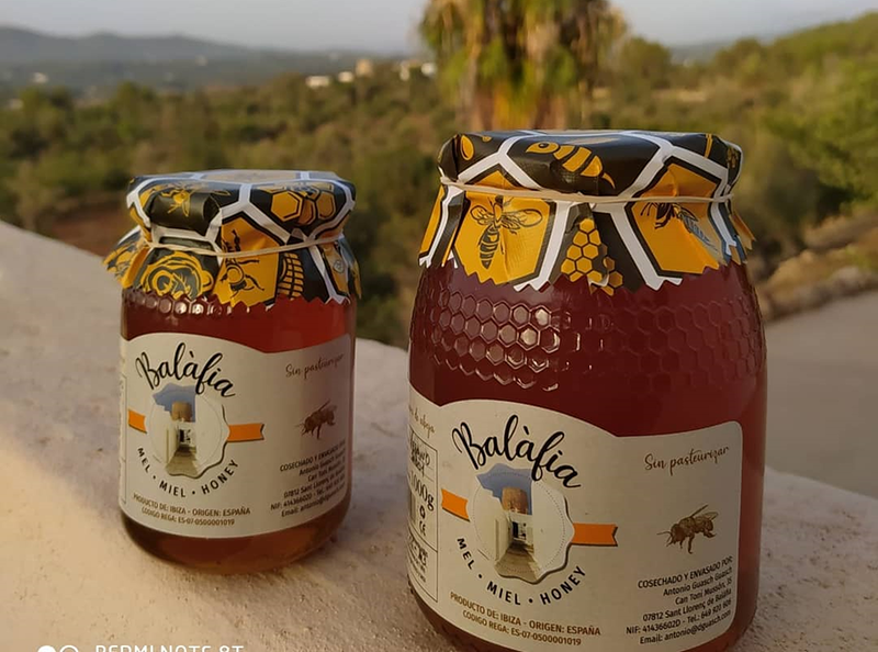 Distribuciones Guasch 9