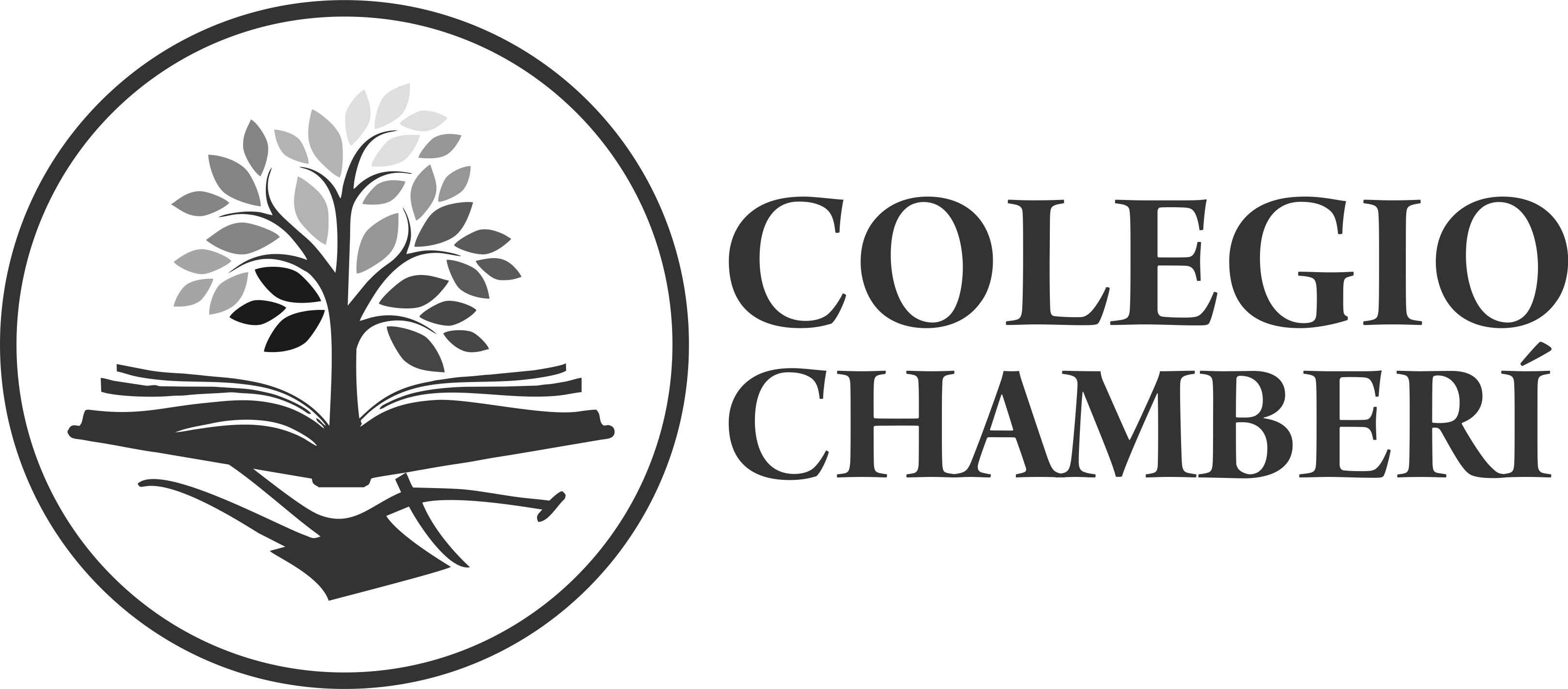 Colegio Chamberí - Sta. Cruz De Tenerife