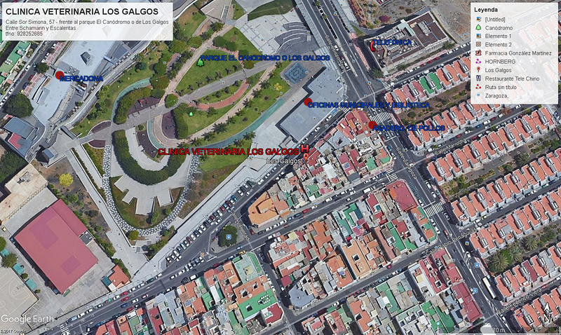 Cl&iacute;nica Veterinaria Los Galgos 6
