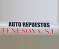 Auto Repuestos Tenesoya