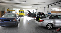 Galería de imágenes