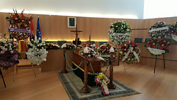 Galería de imágenes