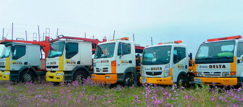 Grúas Delta GRUAS PARA VEHICULOS
