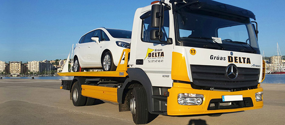 Grúas Delta Palma