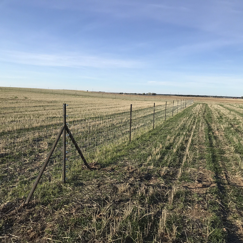 Juan Pedro Mu&ntilde;oz Rojo 2