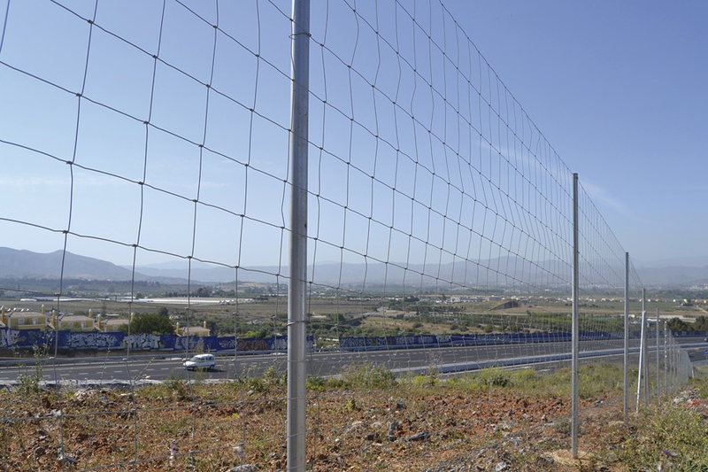 Juan Pedro Mu&ntilde;oz Rojo 6