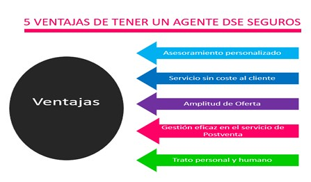 Kemdra Seguros Online 6