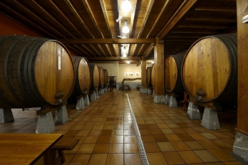 Sidras Aburuza SIDRERIAS