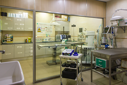 Clínica Veterinaria San Francisco Castellón de la Plana/Castelló de la Plana Clínica Veterinaria San Francisco Castellón de la Plana/Castelló de la Plana