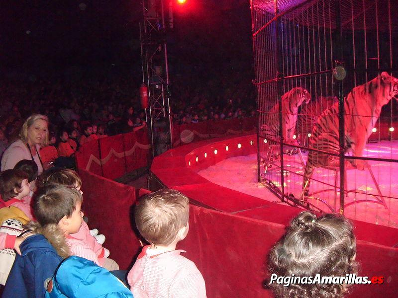 Escuela Infantil Biling&uuml;e Centro Vida 5