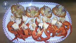 Galería de imágenes