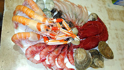 Galería de imágenes