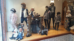 Galería de imágenes