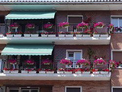 Galería de imágenes