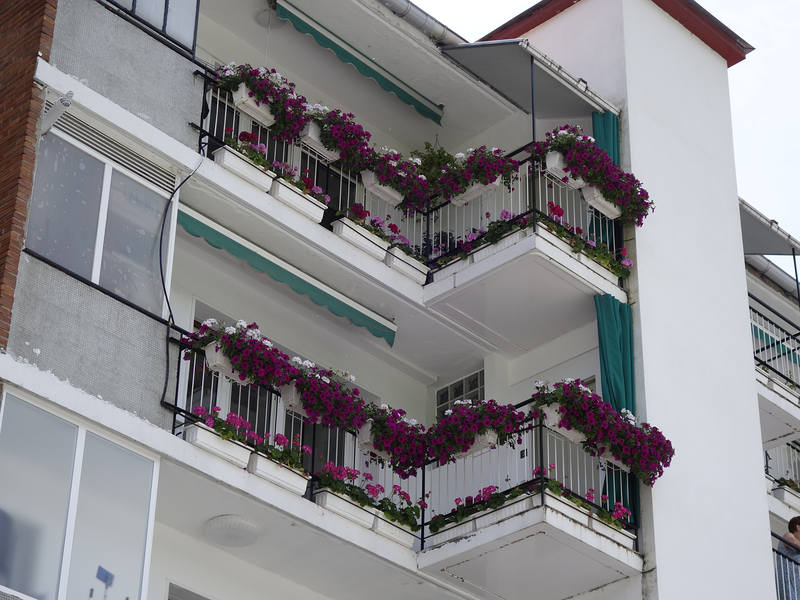 Elduaien Tolosa (Berazubi) Tolosa