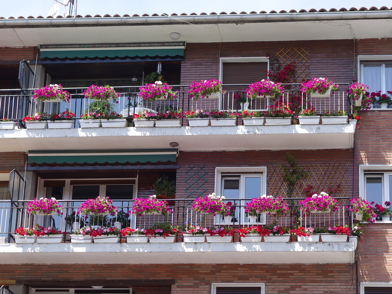 Elduaien Tolosa (Berazubi) 4