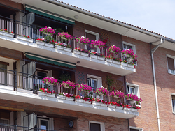 Galería de imágenes