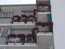 Galería de imágenes