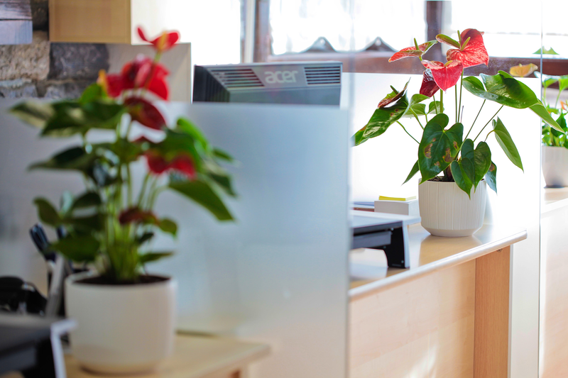 Elduaien Tolosa (Kondeko Aldapa) 10