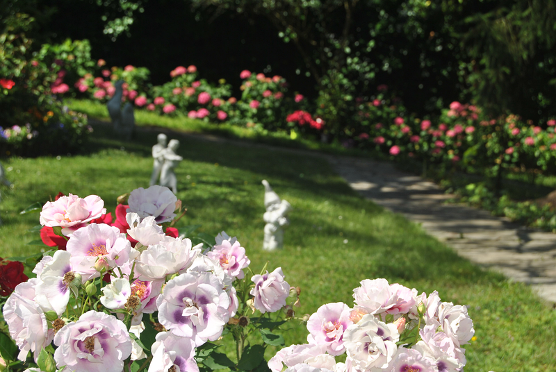 Elduaien Tolosa (Kondeko Aldapa) ACADEMIAS DE IDIOMAS