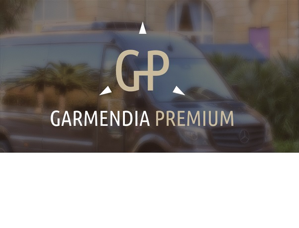TaxiVIP y Microbuses Garmendia Premium TAXIS: SERVICIOS Y PARADAS