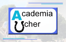 ACADEMIA UCHER ACADEMIAS DE ENSEÑANZA: OPOSICIONES ACADEMIA UCHER ACADEMIAS DE ENSEÑANZA: OPOSICIONES