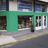 Galería de imágenes
