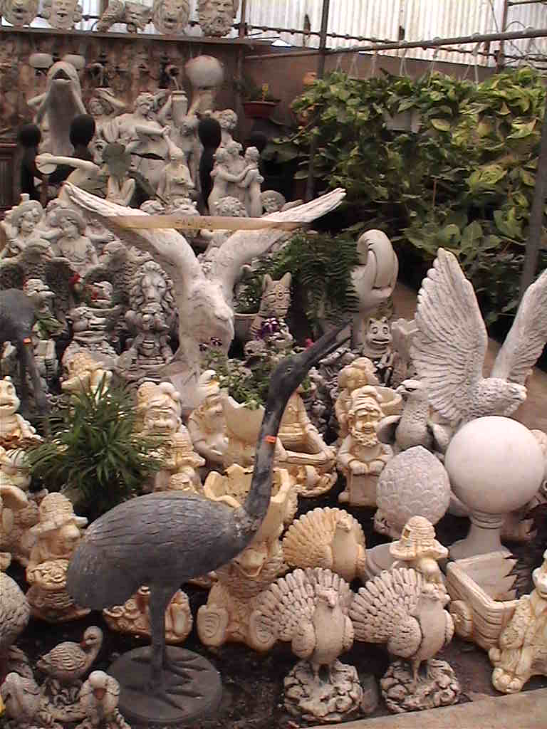 Vivero Las Palmeras 2