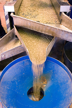 Galería de imágenes