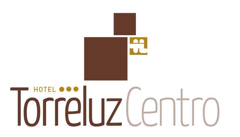 Hotel Torreluz Centro*** 14