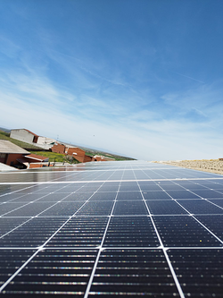 Galería de imágenes