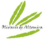 Olivares de Altomira: Oleoturismo. AOVE