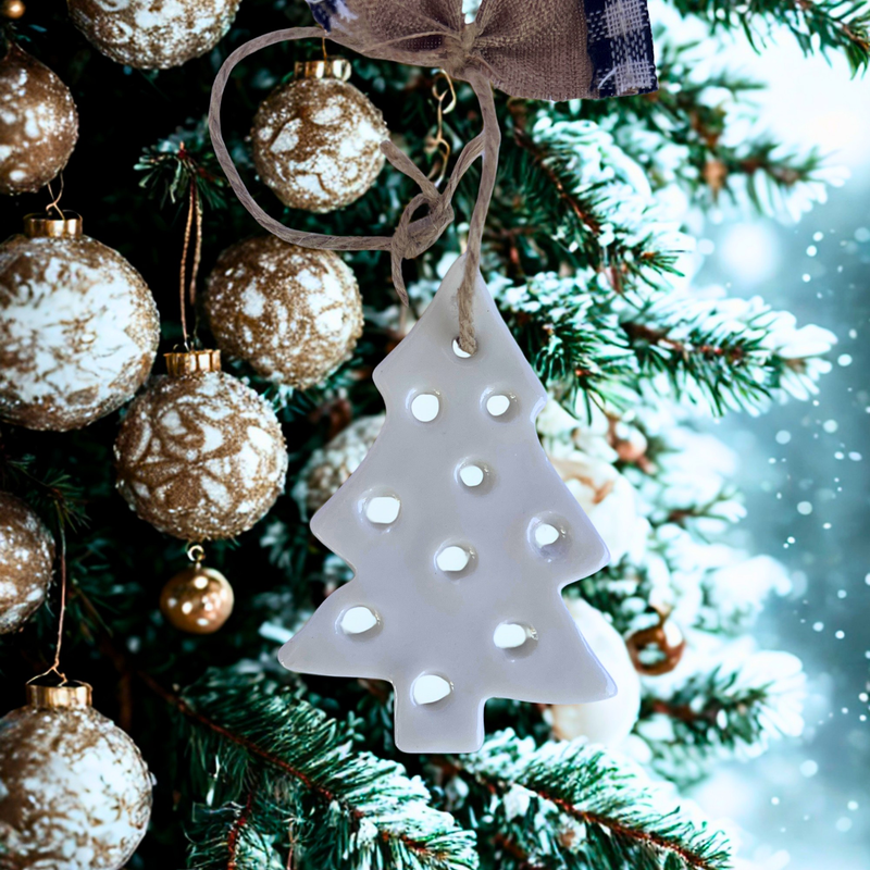 MacL&eacute; Lunar 12