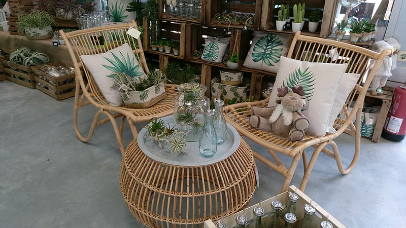 Garden Arenas Alella