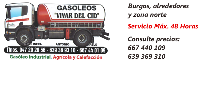 Estación De Servicio Vivar Del Cid S. A. GASOLEO