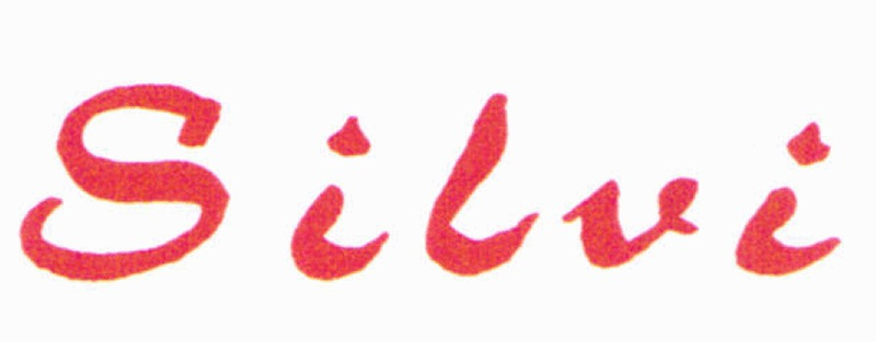 Construcciones Silvi S.A. EMPRESAS CONSTRUCTORAS