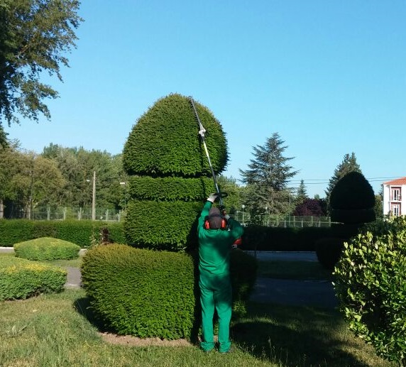 Limpiezas Bellpar LIMPIEZA: EMPRESAS