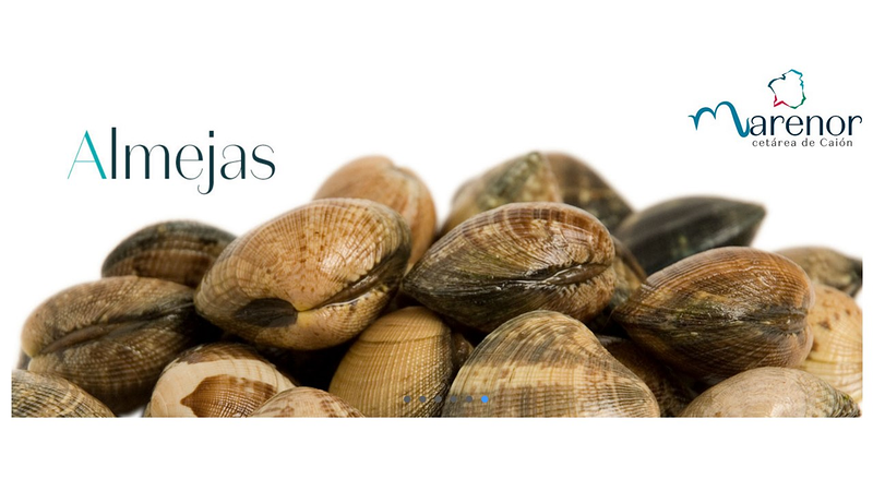 Marenor - Cetaria de Caion 3