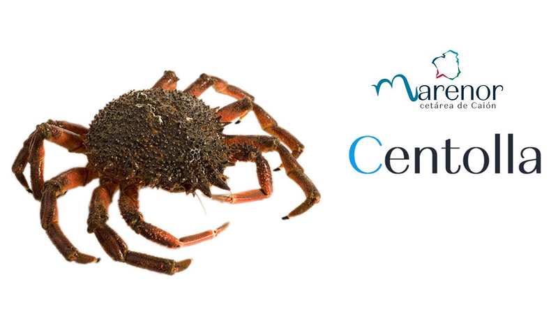 Marenor - Cetaria de Caion 4