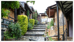 Galería de imágenes