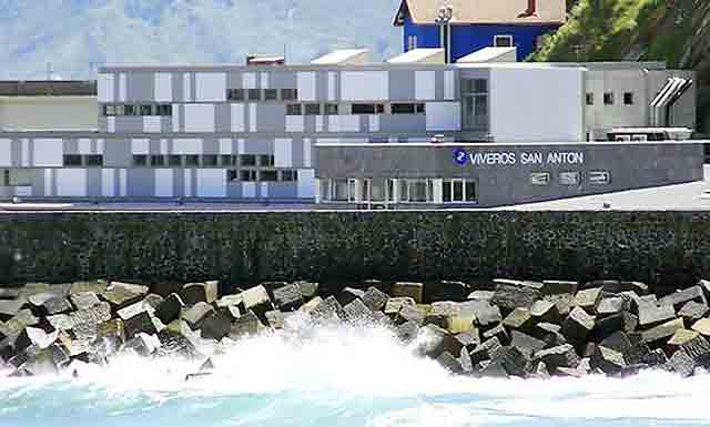 Viveros San Ant&oacute;n 3