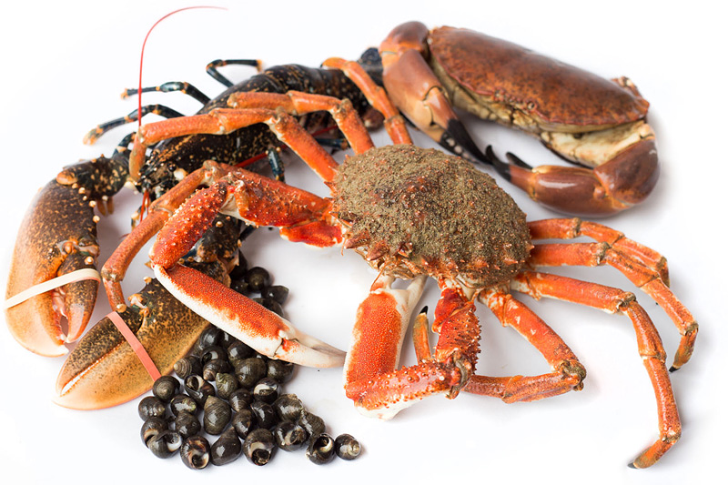 Mariscos Donosti Oiartzun