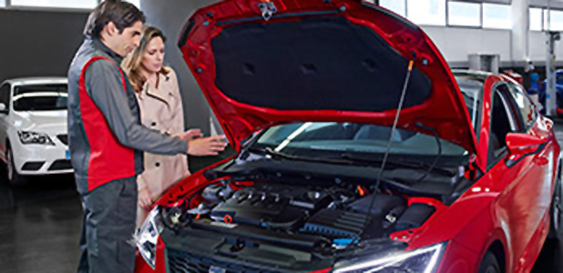 Automotor y Servicios SEAT - Taller y Recambios 9