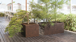 Galería de imágenes