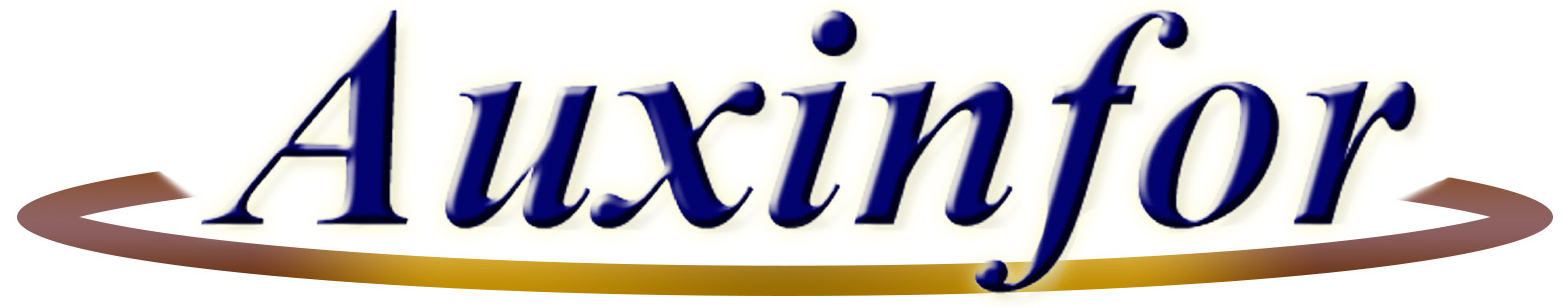 Auxiliar de Informatica Sa Auxiliar de Informatica Sa