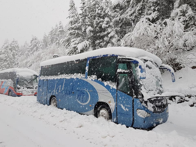 Autobuses Vidal Cartagena 4