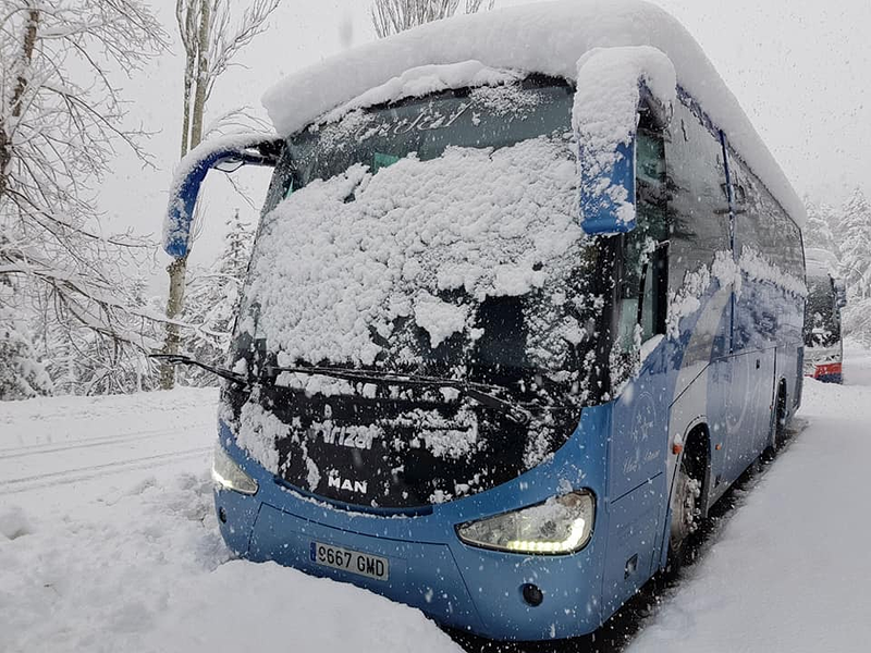 Autobuses Vidal Cartagena 5