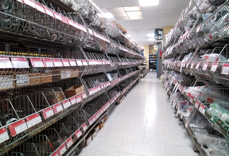 Saneamientos Pereda 5