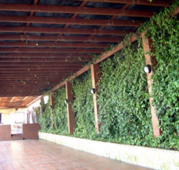 Restaurante Savannah 4