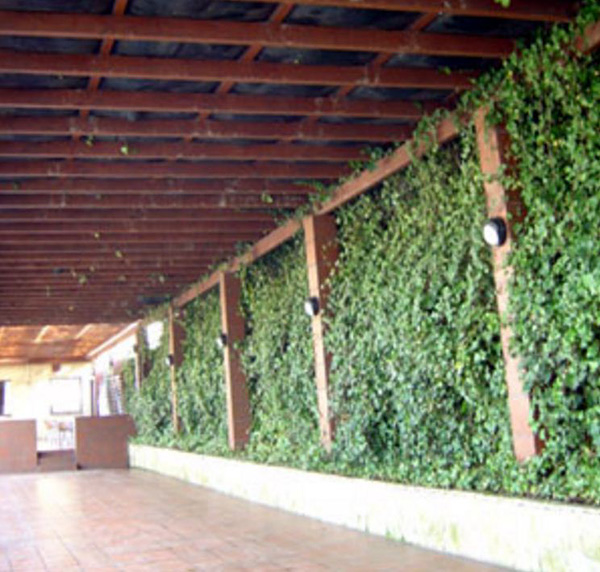 Restaurante Savannah 9